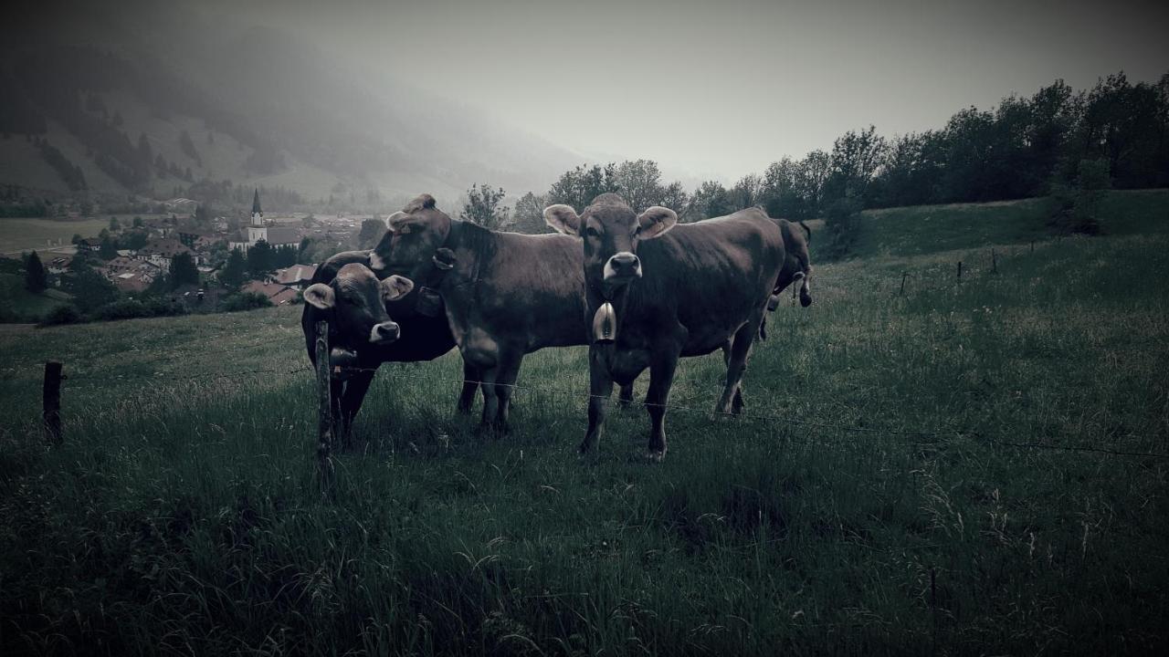 Landhaus Via Decia - Bad Hindelang Plus Partner * Bad Hindelang