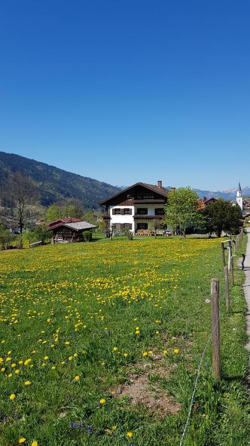 Landhaus Via Decia - Bad Hindelang Plus Partner Apartment