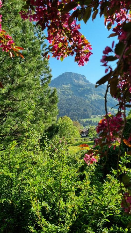 Apartment Landhaus Via Decia - Bad Hindelang Plus Partner *