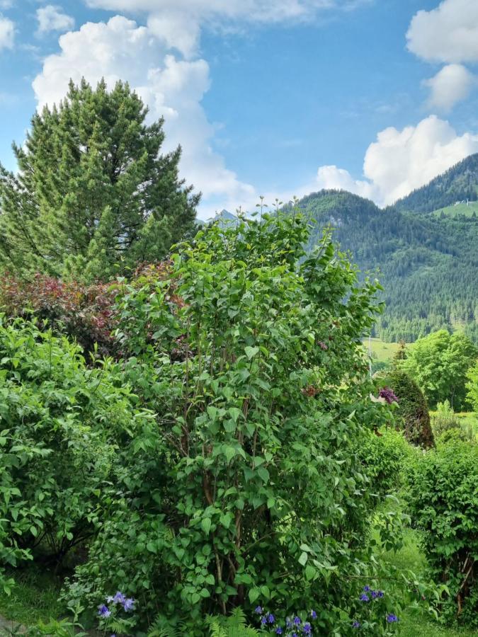 Apartment Landhaus Via Decia - Bad Hindelang Plus Partner
