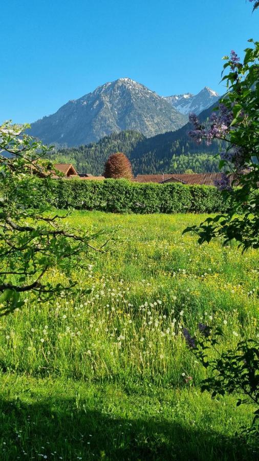 Apartment Landhaus Via Decia - Bad Hindelang Plus Partner *