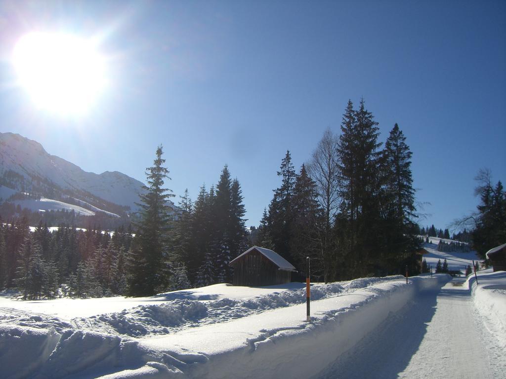 Apartment Landhaus Via Decia - Bad Hindelang Plus Partner *